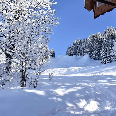 Cosy A Meribel, 3 Pieces, Proche Pistes, 6 Personnes - Fr-1-180-647 Les Allues